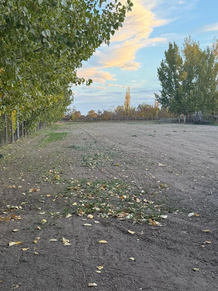 Major warehouse for sale on one and a half hectares of land in Agrelo, Luján.