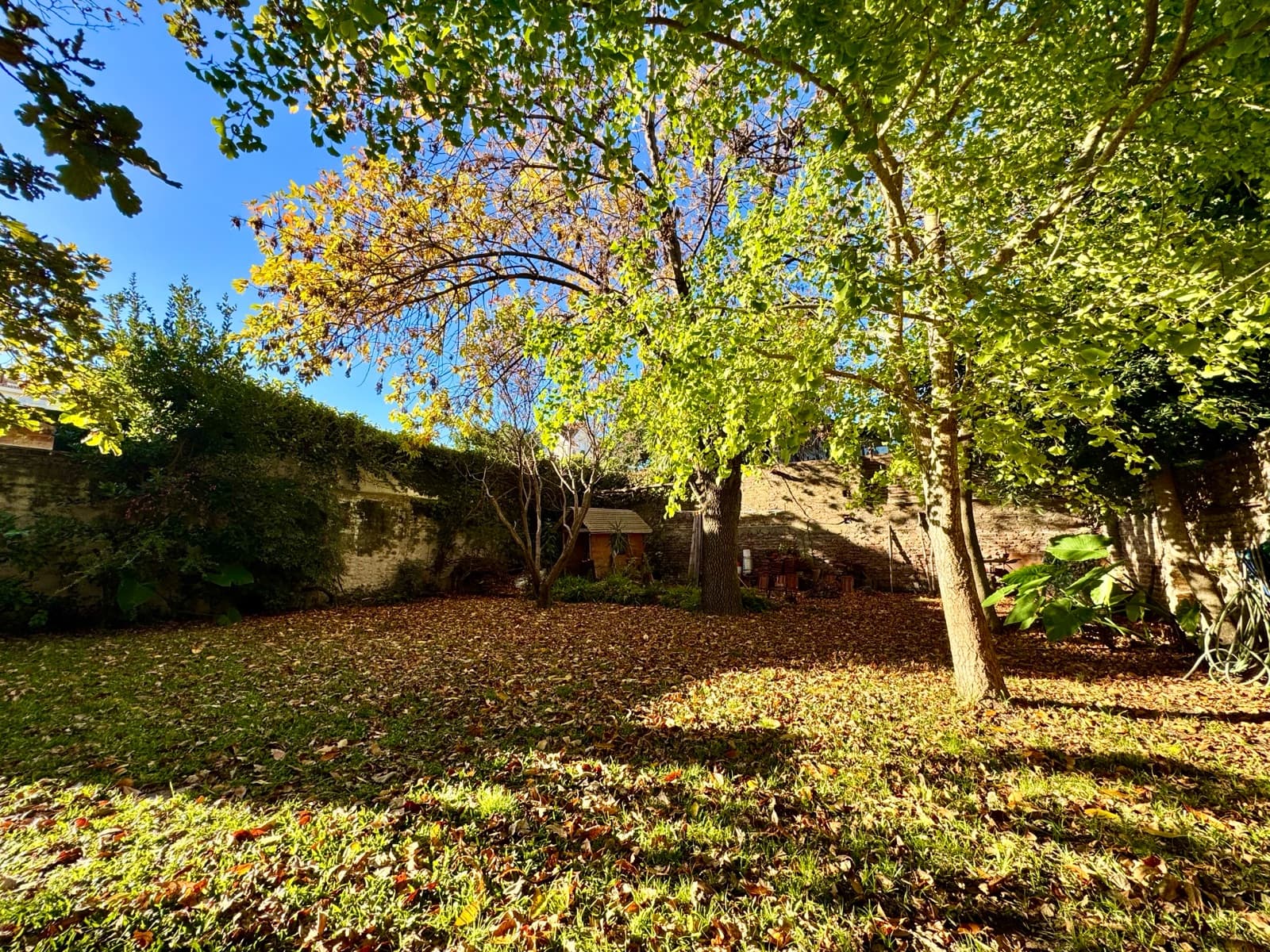 Large villa with an incredible garden in Olivos - Vicente López