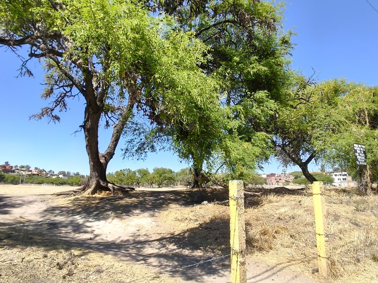 Land in San Miguel de Allende
