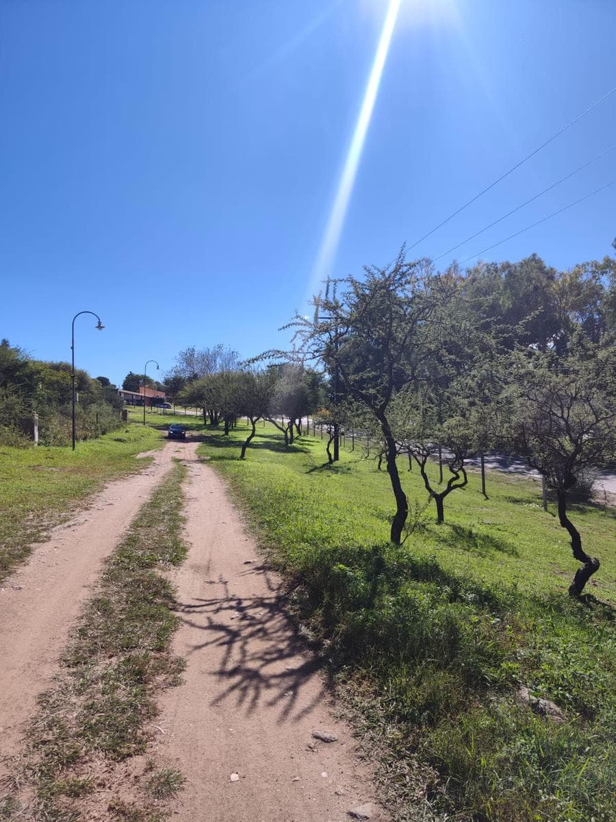 Land for Sale in Tierra Alta