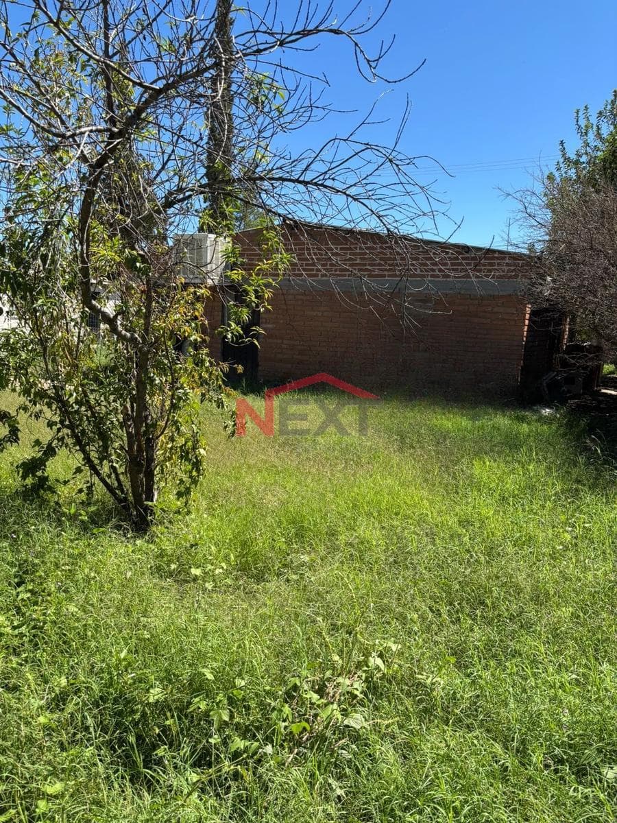 House for sale in Col. Revolución, Imuris, Sonora