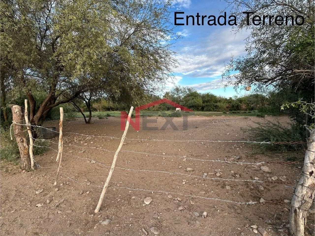 LAND FOR SALE IN EJIDO LA YESCA