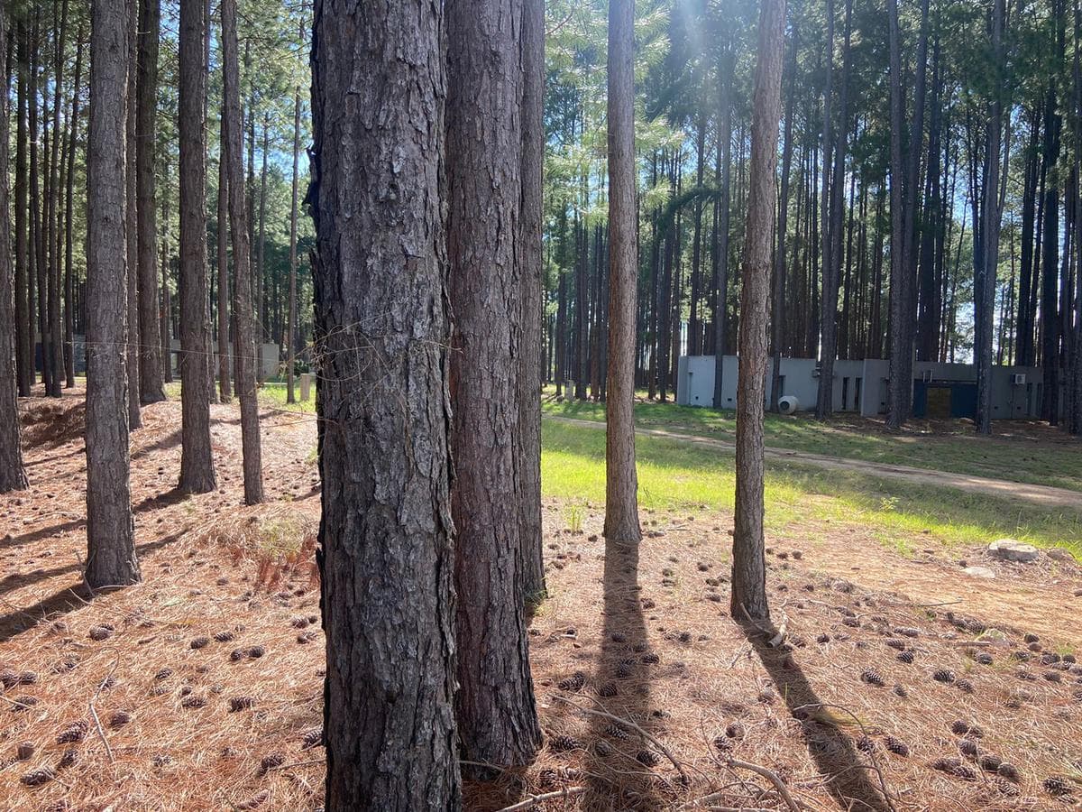 Lots for sale at Aldea Club de Campo in Colón, Entre Ríos, starting at USD 38,000!