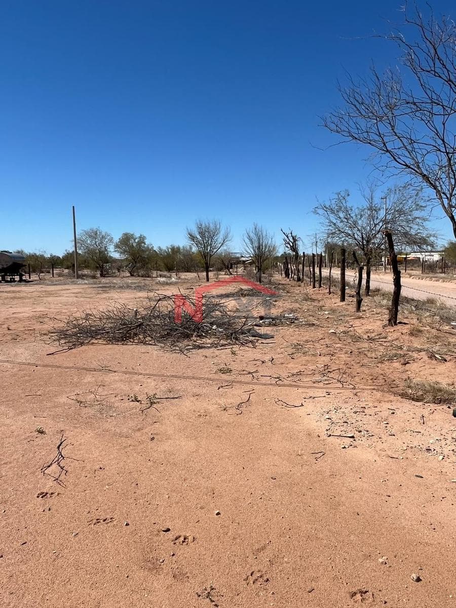 LAND FOR SALE IN EJIDO LA YESCA