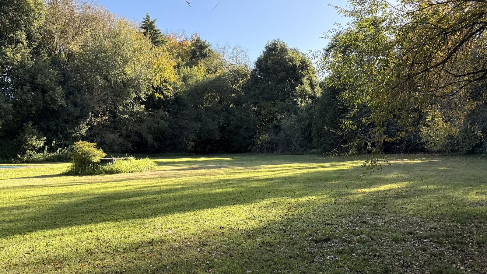 I experienced the joy of waking up every day surrounded by nature, fresh air, and serenity