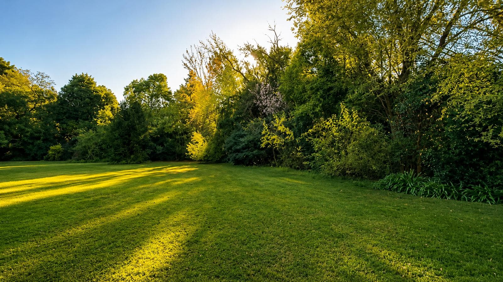 I experienced the joy of waking up every day surrounded by nature, fresh air, and serenity
