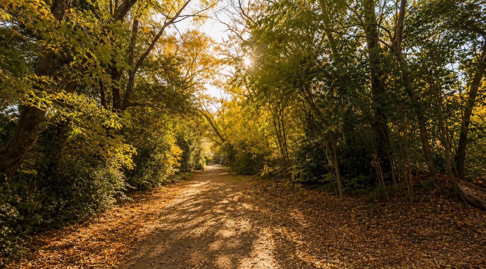 I experienced the joy of waking up every day surrounded by nature, fresh air, and serenity