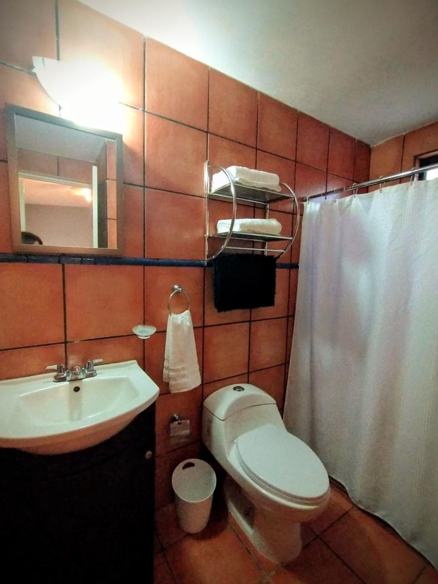 Furnished Apartment for Rent in Saltillo, Coahuila (North)