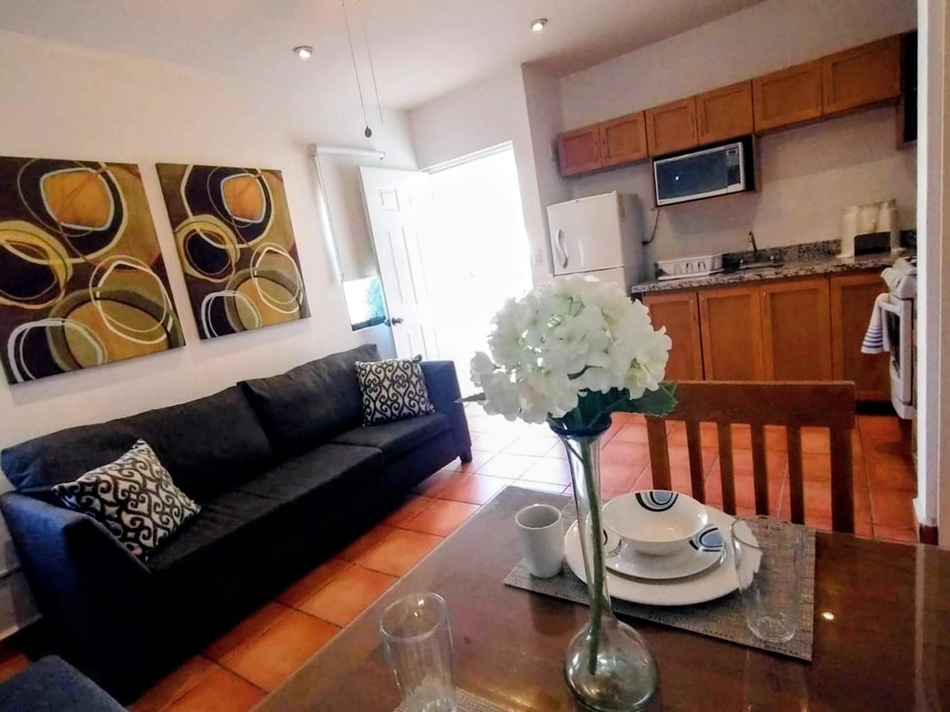 Furnished Apartment for Rent in Saltillo, Coahuila (North)