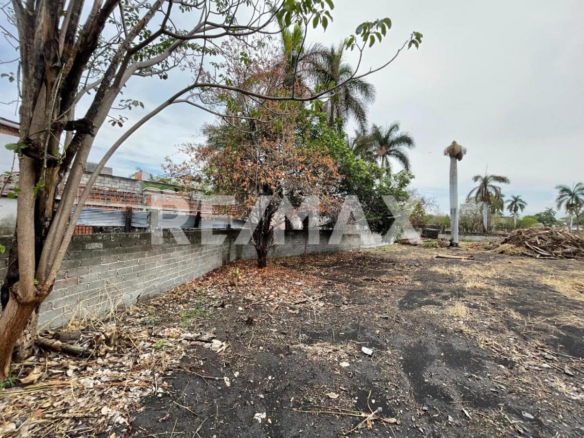 Land for Sale in Morelos, Xochitepec