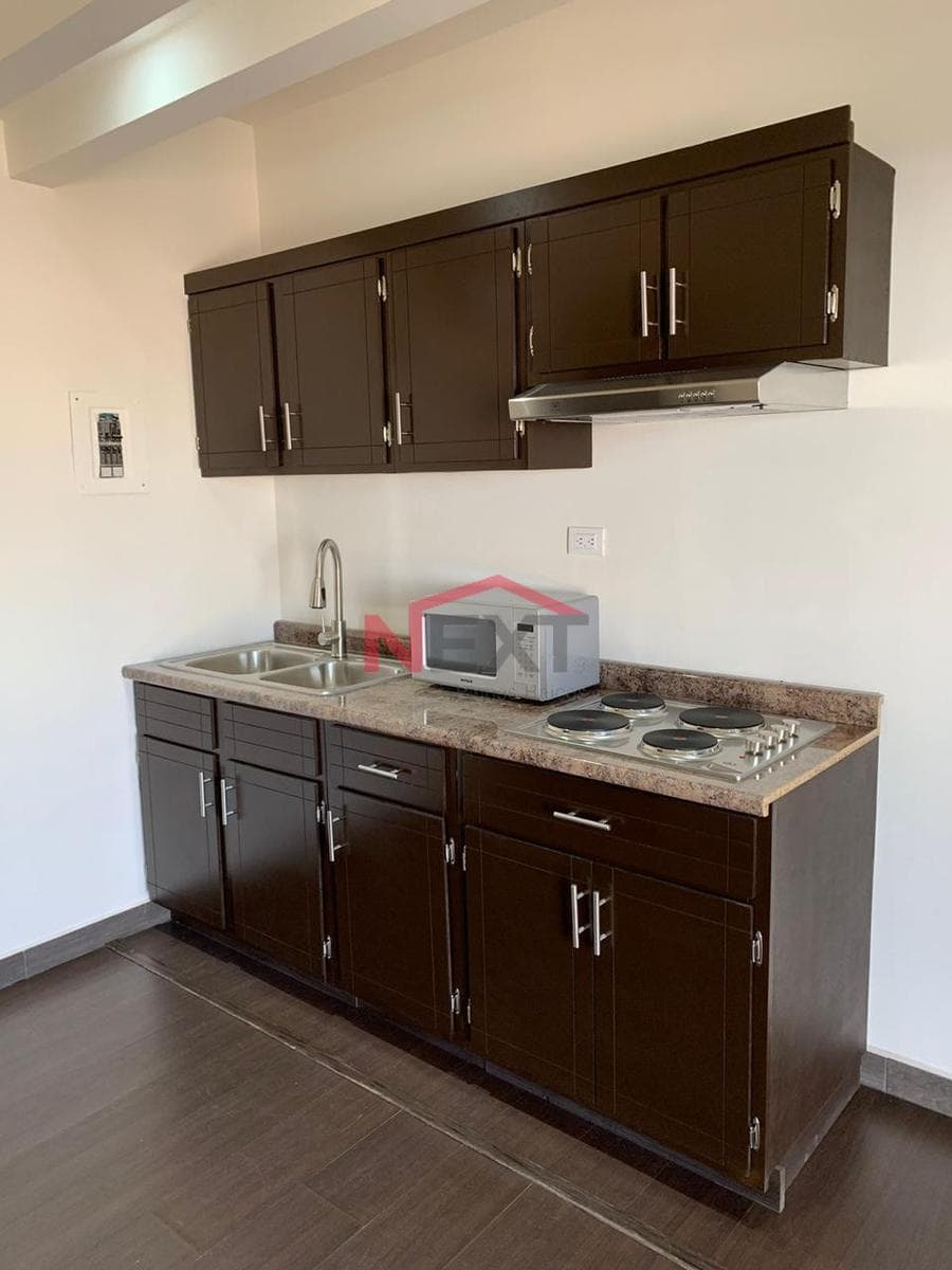 APARTMENT FOR RENT IN COL. PITIC