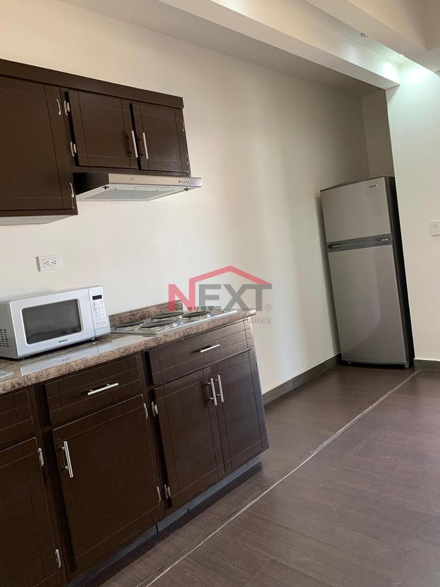 APARTMENT FOR RENT IN COL. PITIC