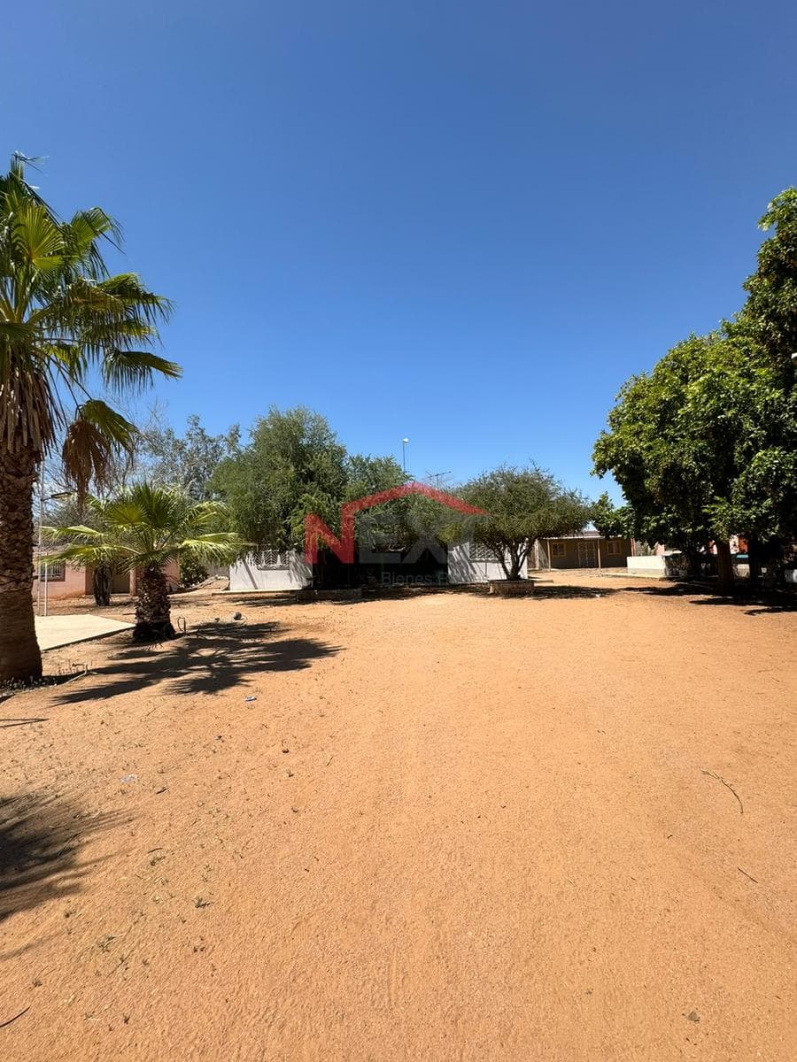 PROPERTY FOR SALE IN REAL DEL ALAMITO