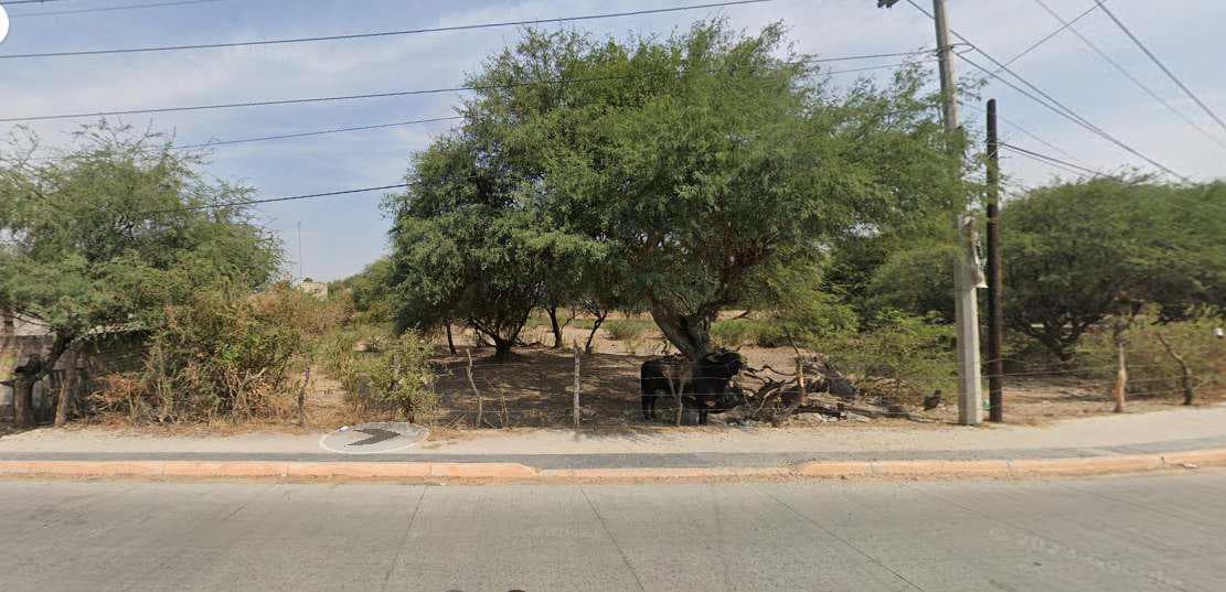 6,200 m² lot for sale in San Isidro Mazatepec Tala, Jalisco