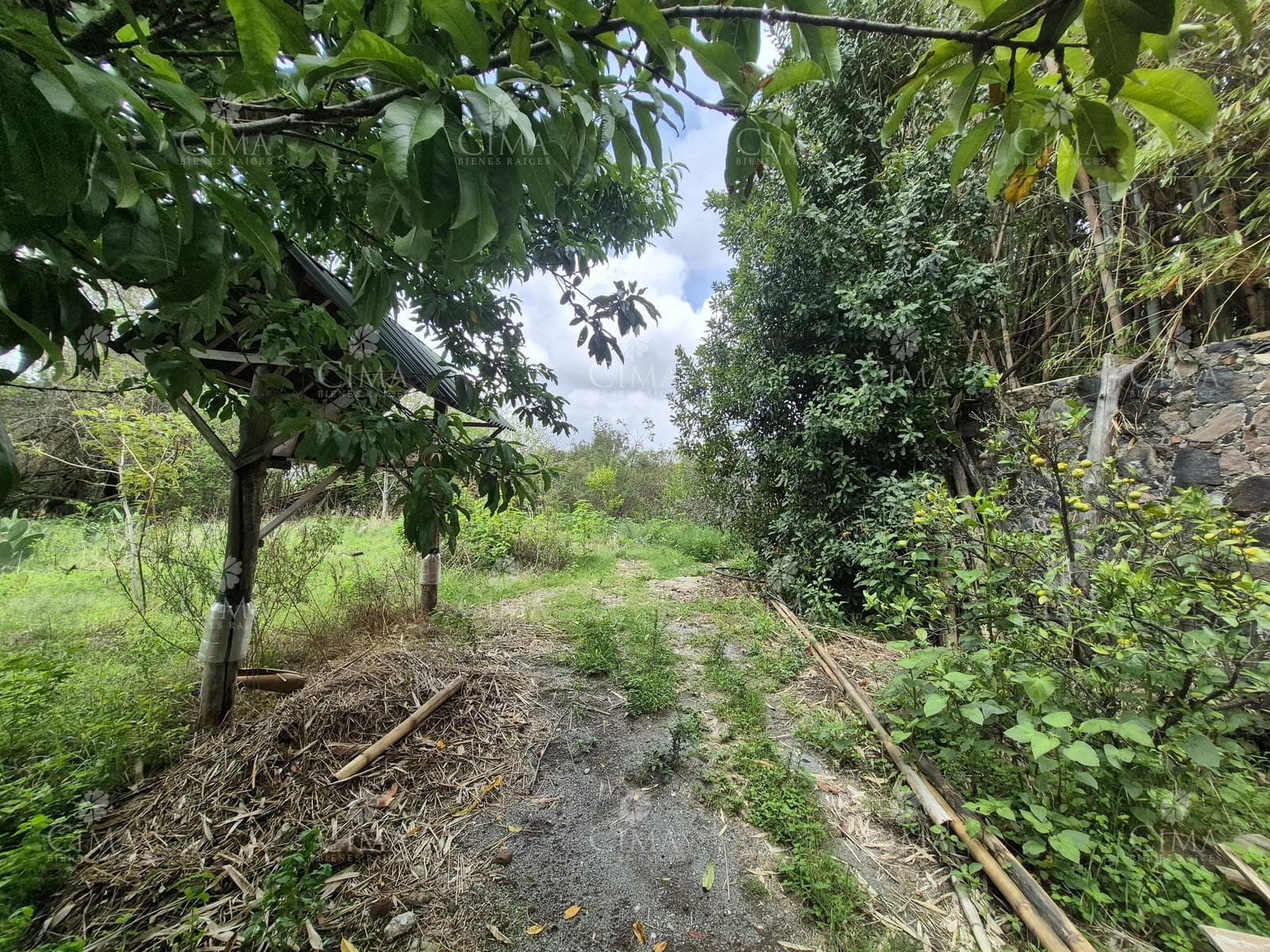 Land: Land for Sale in Santa María Ahuacatitlán - T77