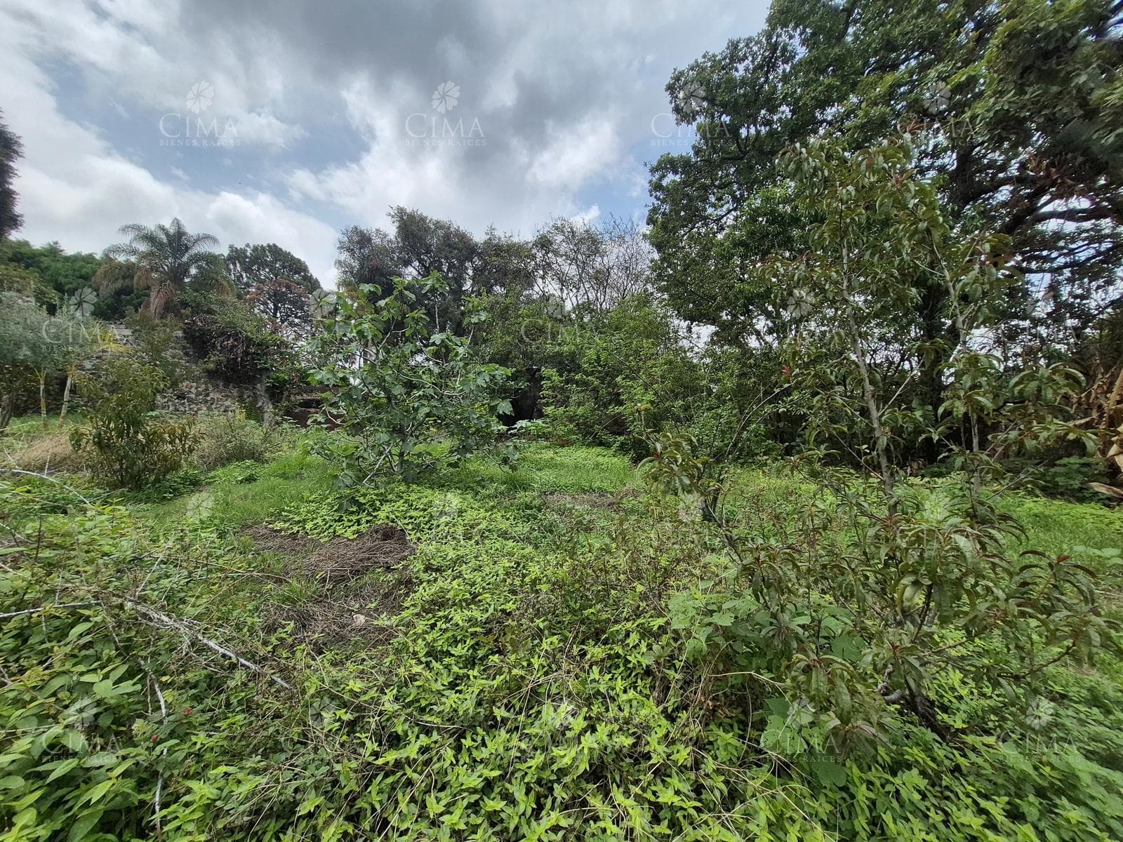 Land: Land for Sale in Santa María Ahuacatitlán - T77