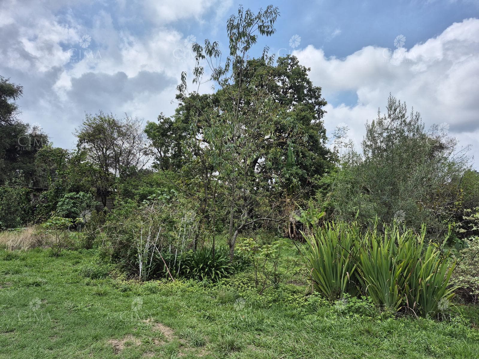 Land: Land for Sale in Santa María Ahuacatitlán - T78