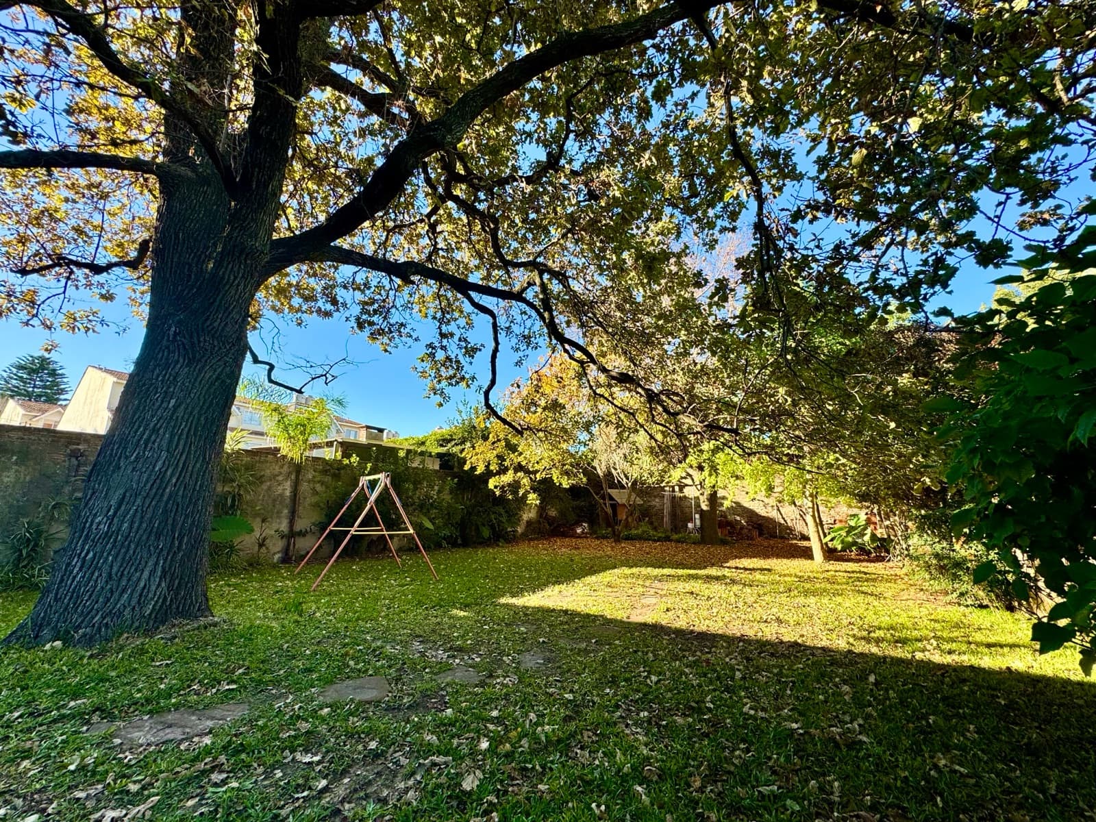 Large lot in Olivos - Vicente López