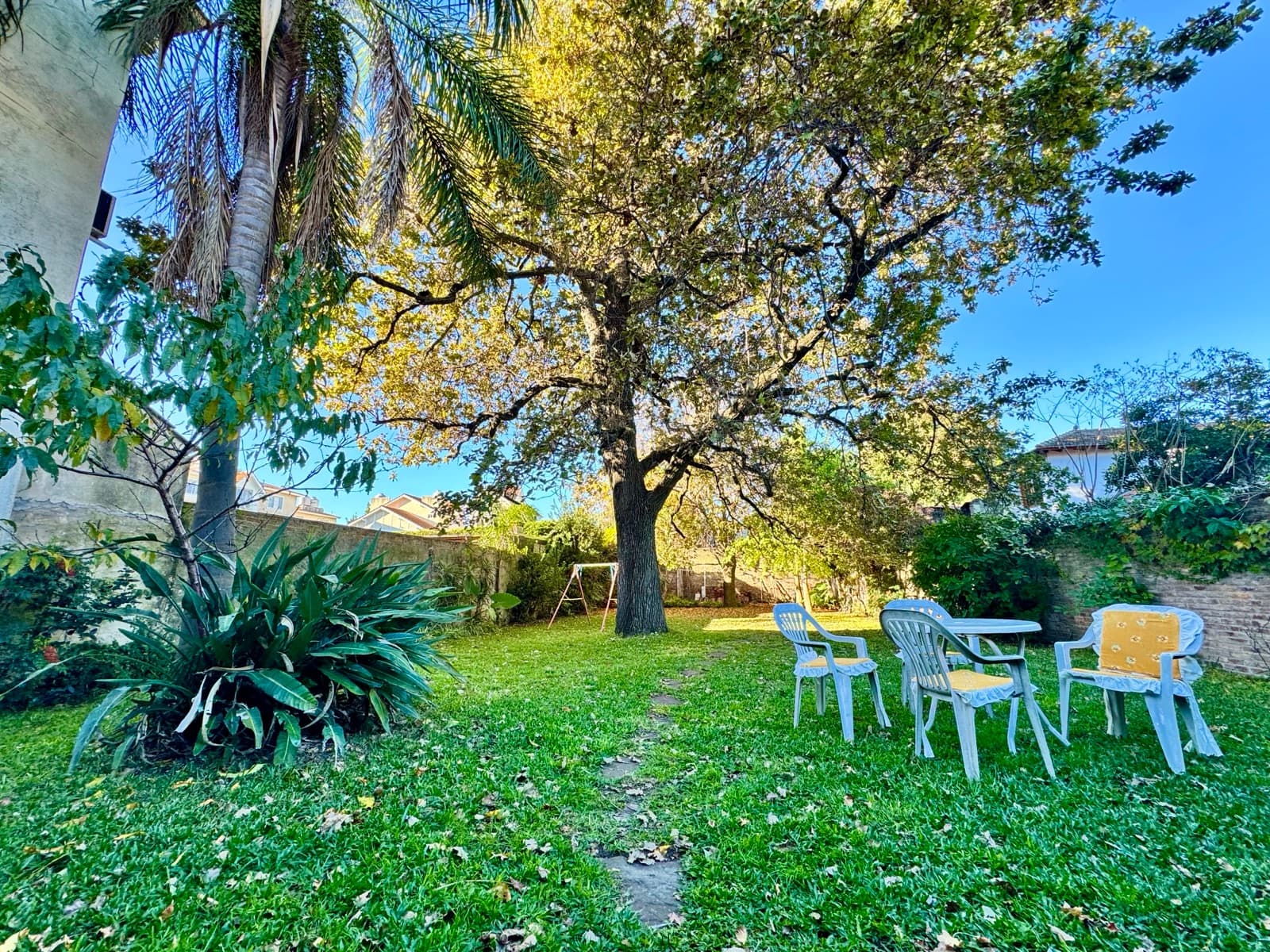 Large lot in Olivos - Vicente López