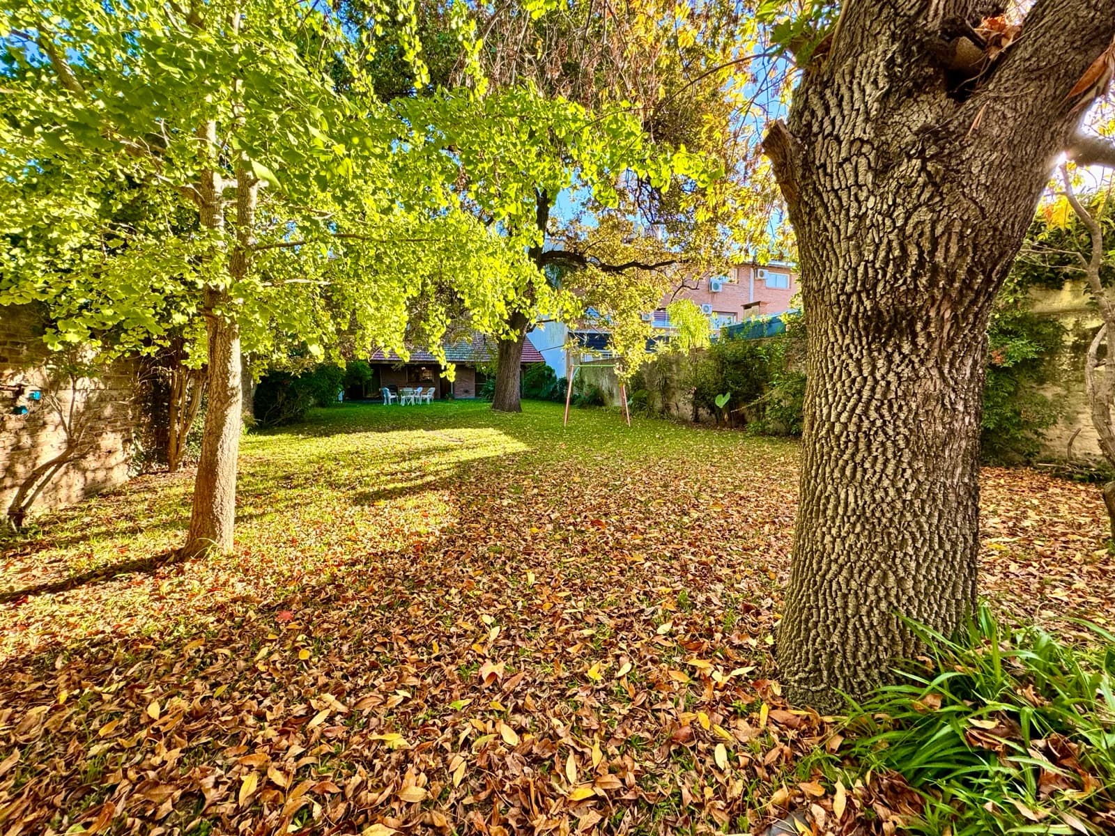 Large lot in Olivos - Vicente López