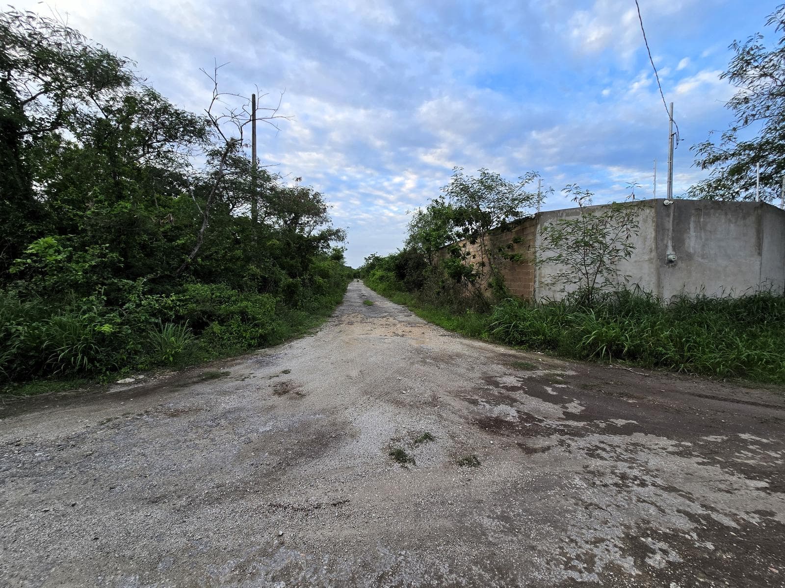 Residential Corner Lot on the Avenue in La Ceiba 2