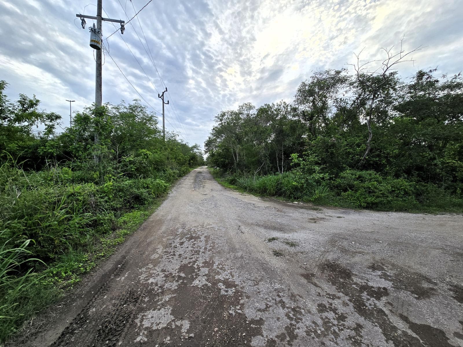Residential Corner Lot on the Avenue in La Ceiba 2