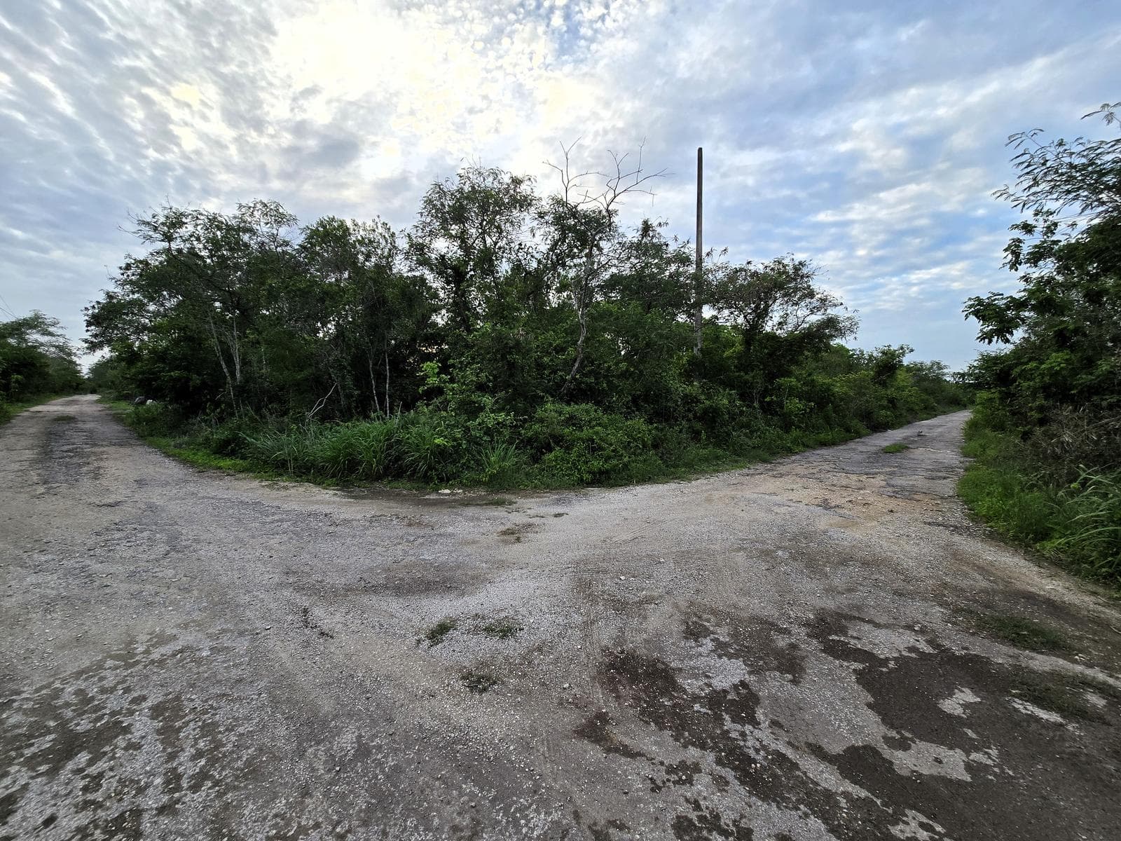 Residential Corner Lot on the Avenue in La Ceiba 2