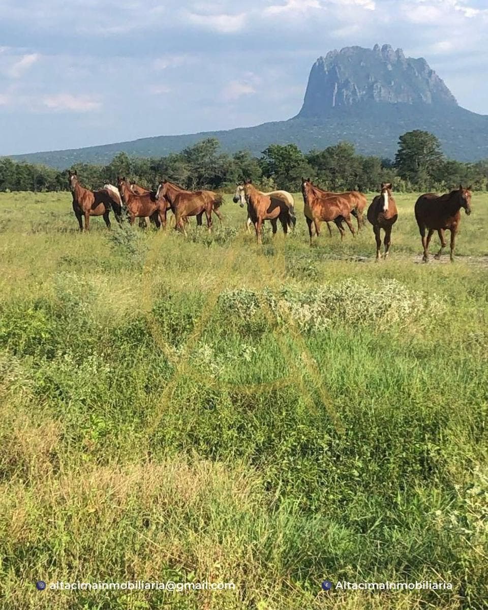 Land in Ejido San Pedro