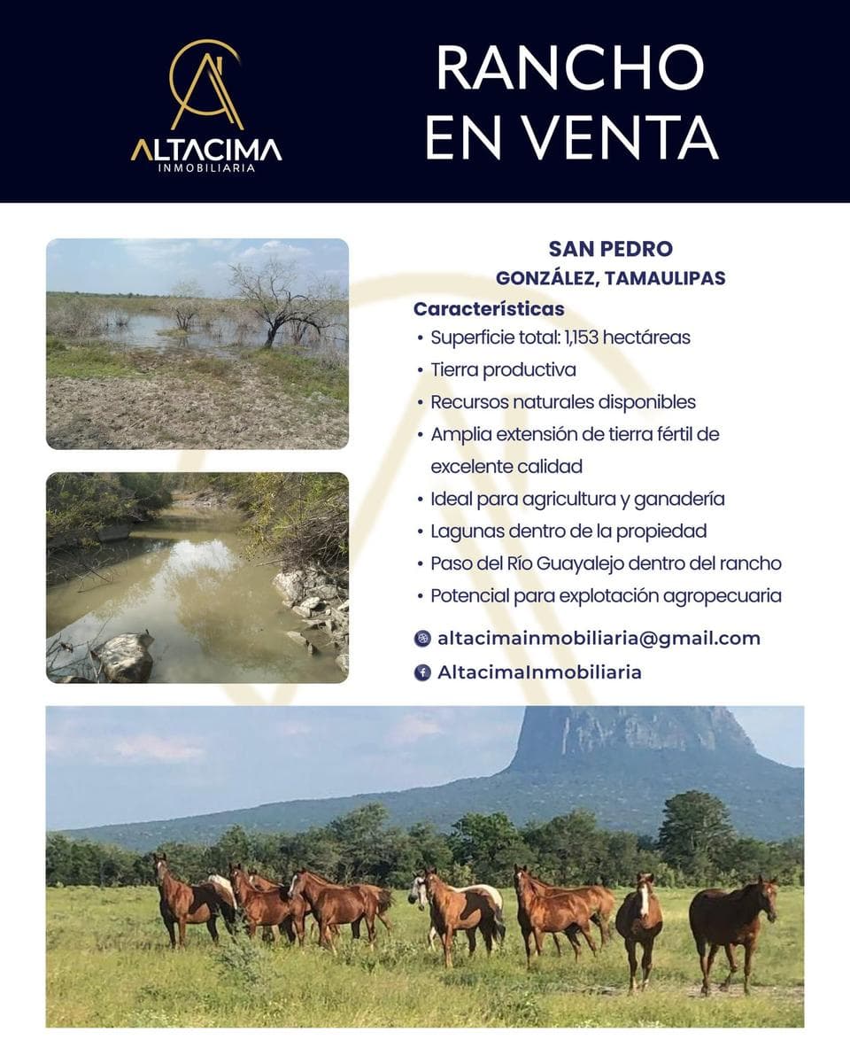 Land in Ejido San Pedro