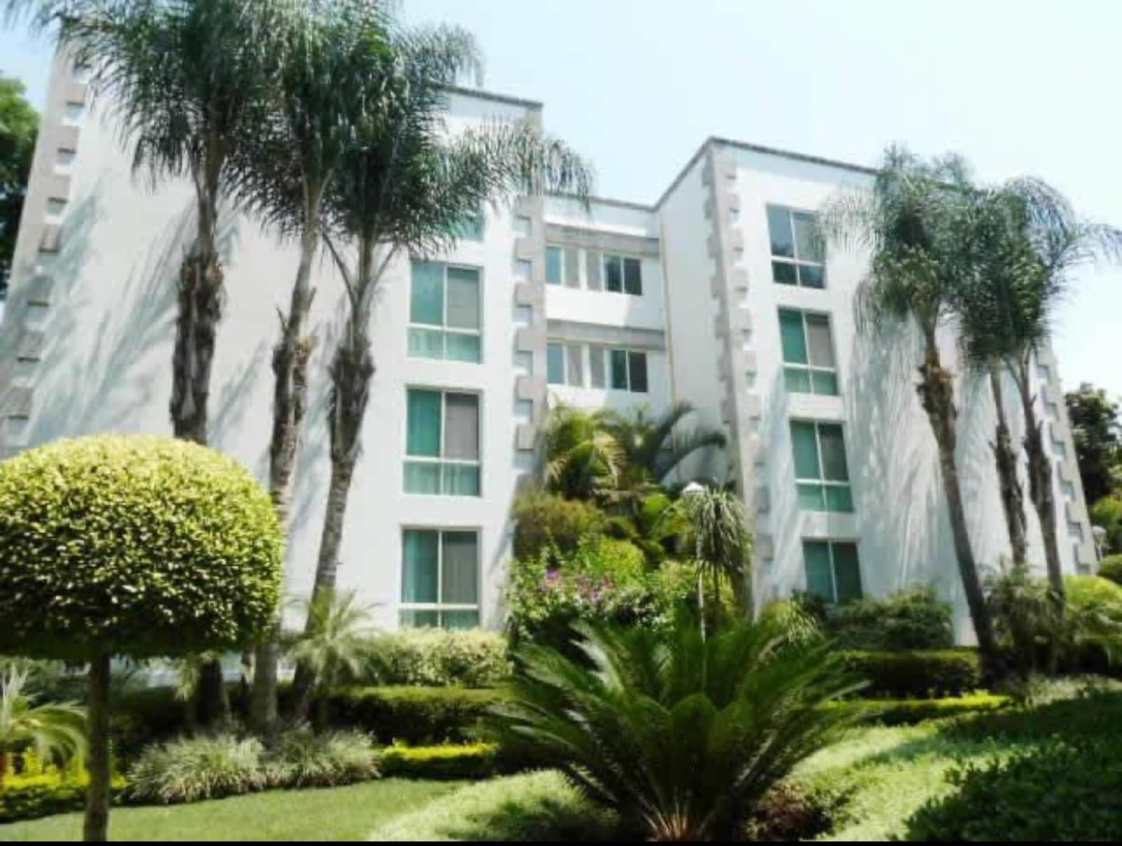 Apartment - Chapultepec