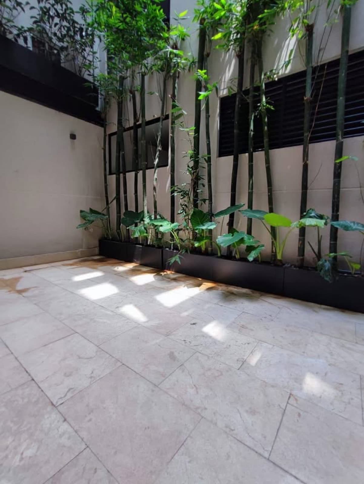 Brand-new Polanco apartment for sale with a balcony, 2 bedrooms, a terrace, 2 parking spaces, and security