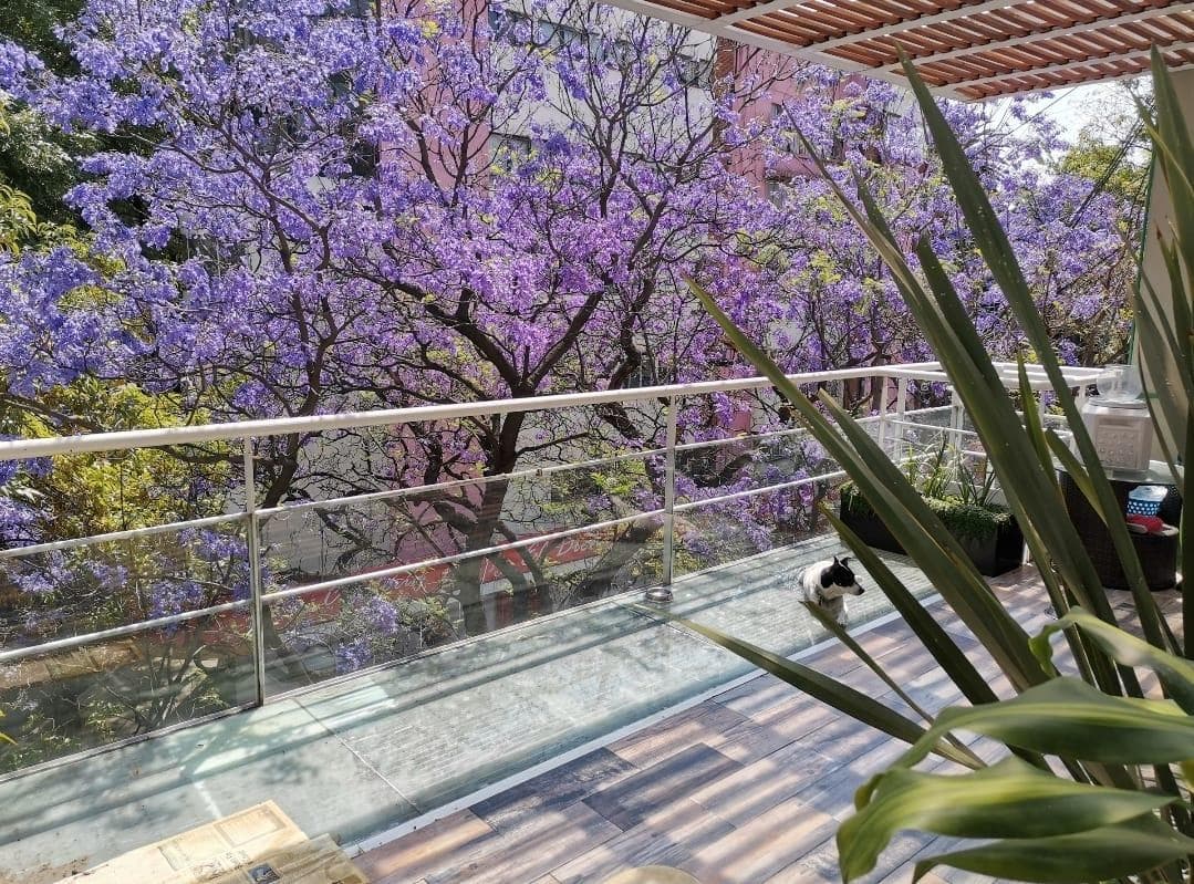 Apartment for Sale in Anzures