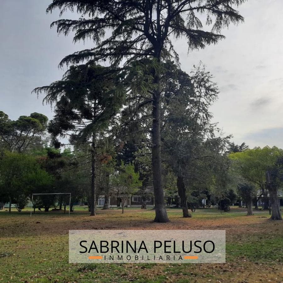 For Sale: Francisco Alvarez Country House