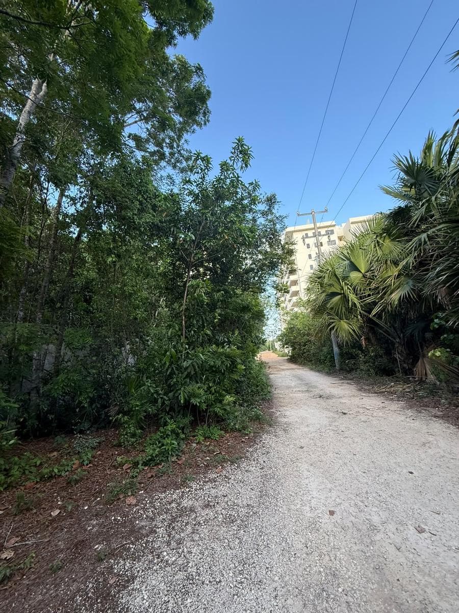 Roble Street at the corner of Marte, block 313, lot 305, parcel 7