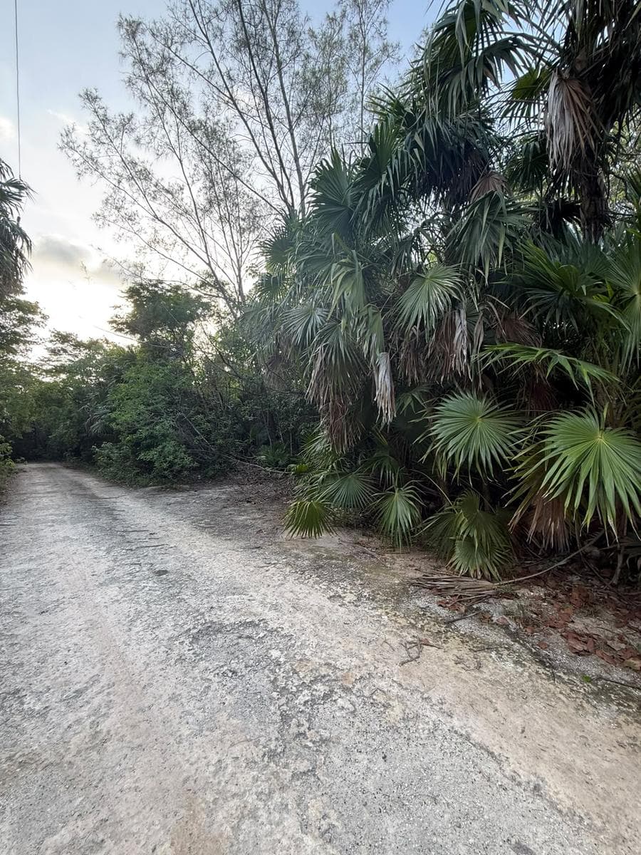 Roble Street at the corner of Marte, block 313, lot 305, parcel 7