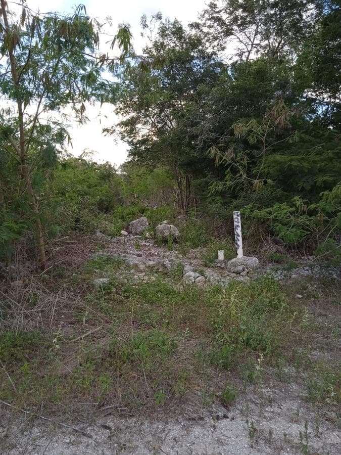 Land - Mérida