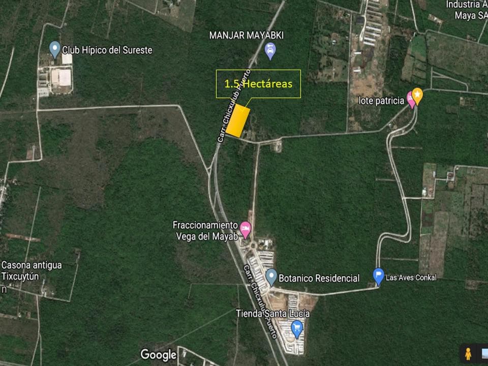 1.5-hectare plot of land next to Vegas del Mayab on the Chicxulub-Puerto Highway