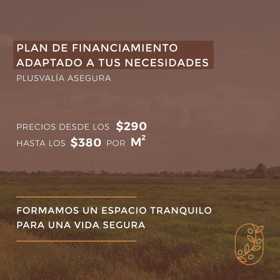 Land - San Ignacio Village