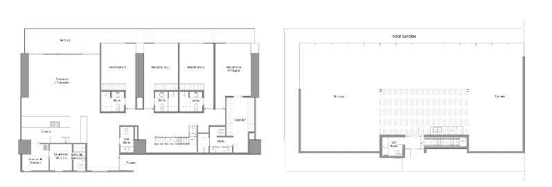 Luxury Development in Pedregal