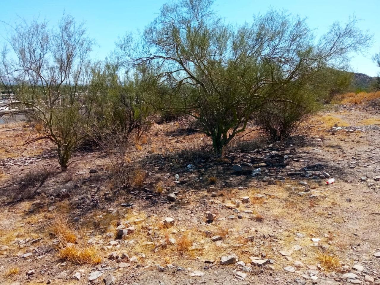 3.6-hectare suburban lot for sale in the southern area near the Cantabria subdivision