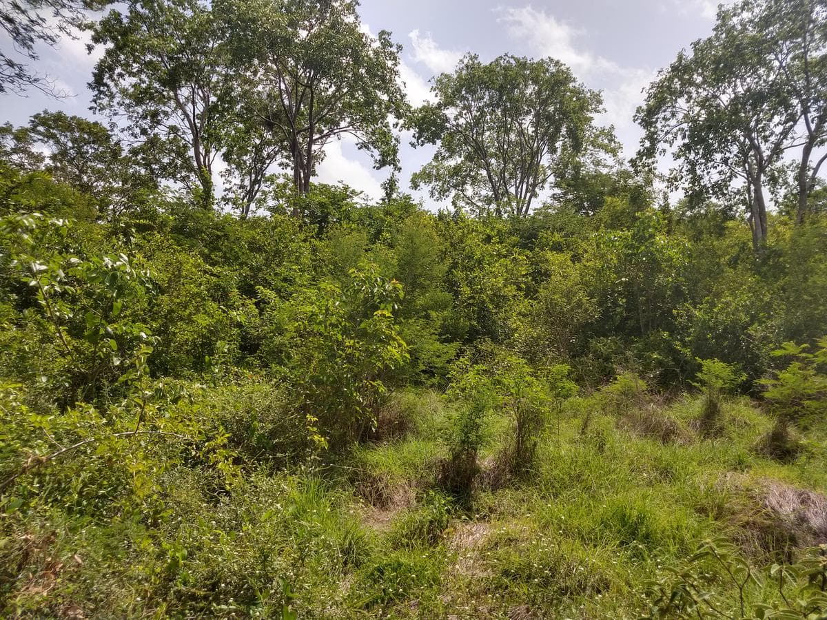 Land near the highway in San Diego Cutz
