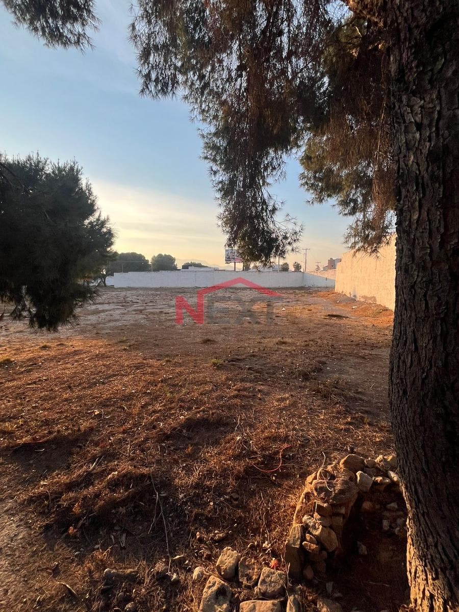 LAND FOR SALE IN THE NORTH, LAS CABAÑAS SUBDIVISION