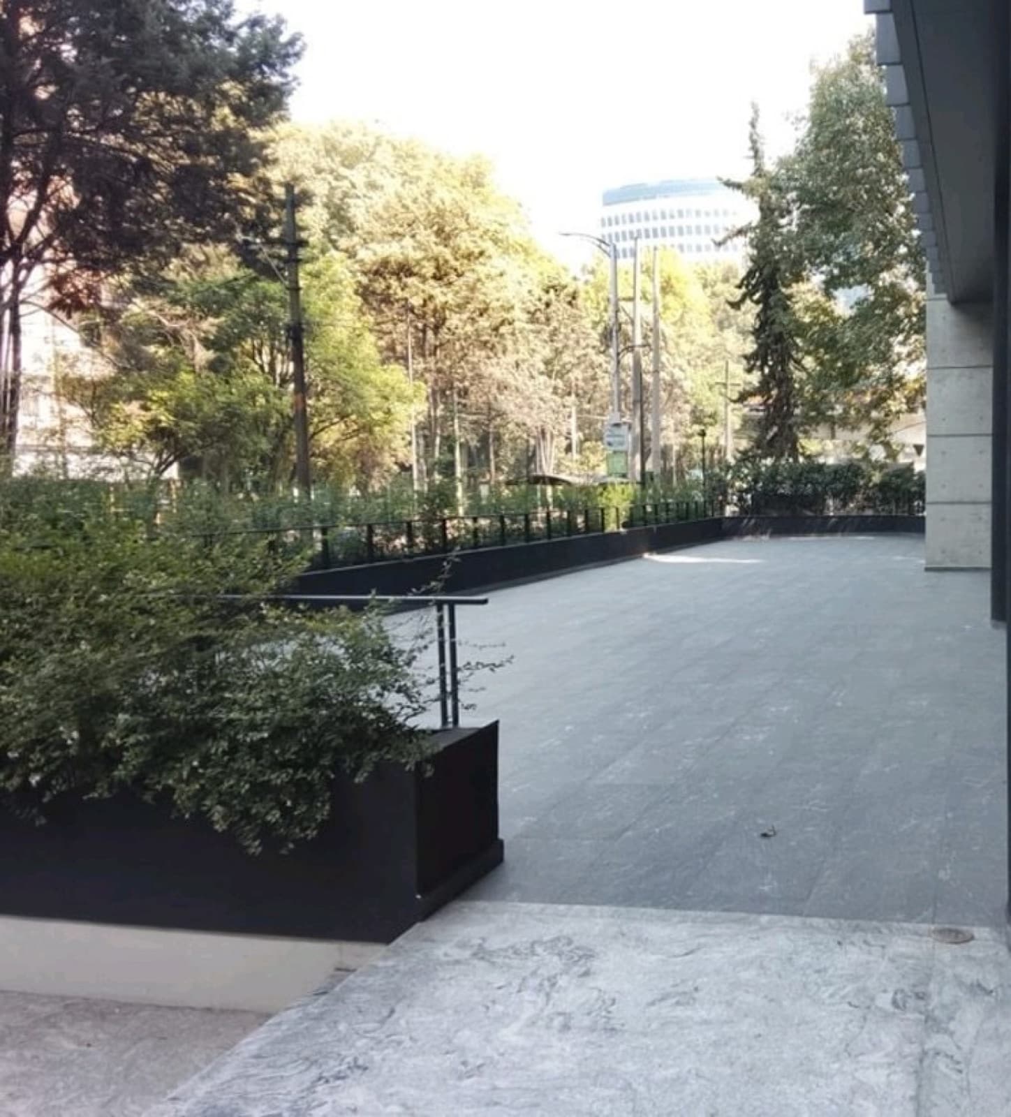 Office Space for Rent in Anzures, Miguel Hidalgo
