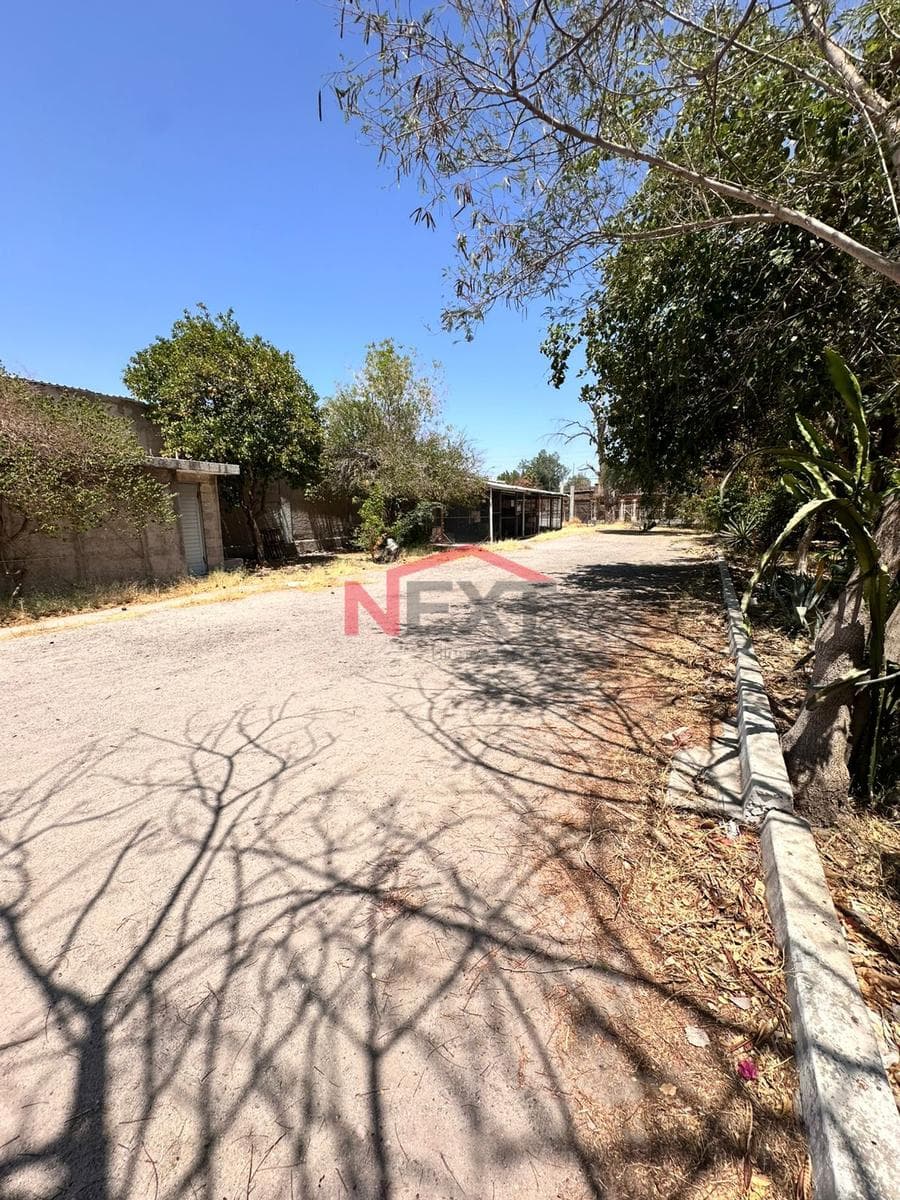 WINE CELLAR FOR RENT IN THE HACIENDA DE LA FLOR NEIGHBORHOOD