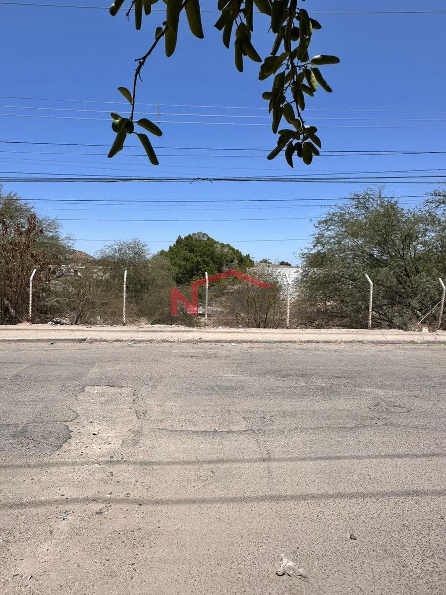 WINE CELLAR FOR SALE IN THE HACIENDA LA FLOR NEIGHBORHOOD
