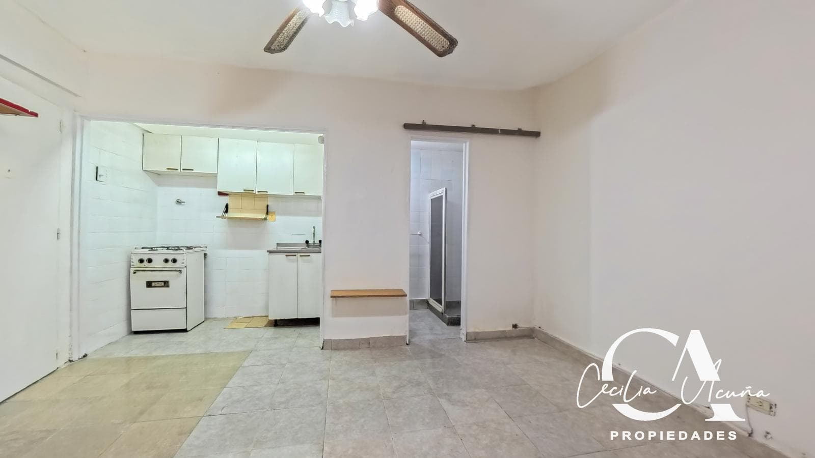 Apartment in Recoleta
