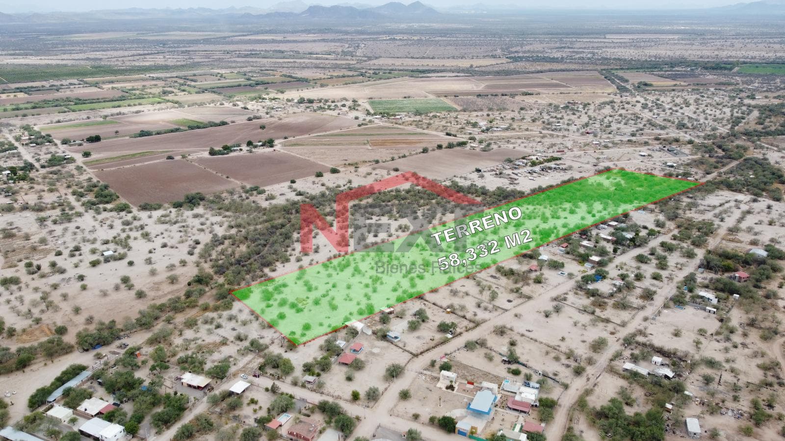 LAND FOR SALE IN EJIDO EL ALAMITO