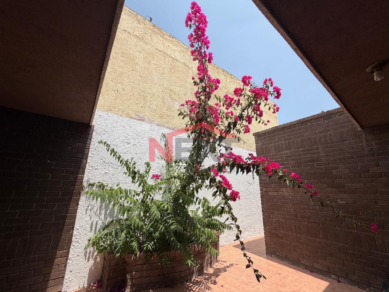 Single-Story Corner House North of Saltillo | Col. Doctores |???? 245 m² Lot ????220 m² Floor Area