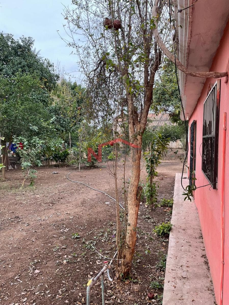 HOUSE FOR SALE IN SAN JOSE DE BACUM
