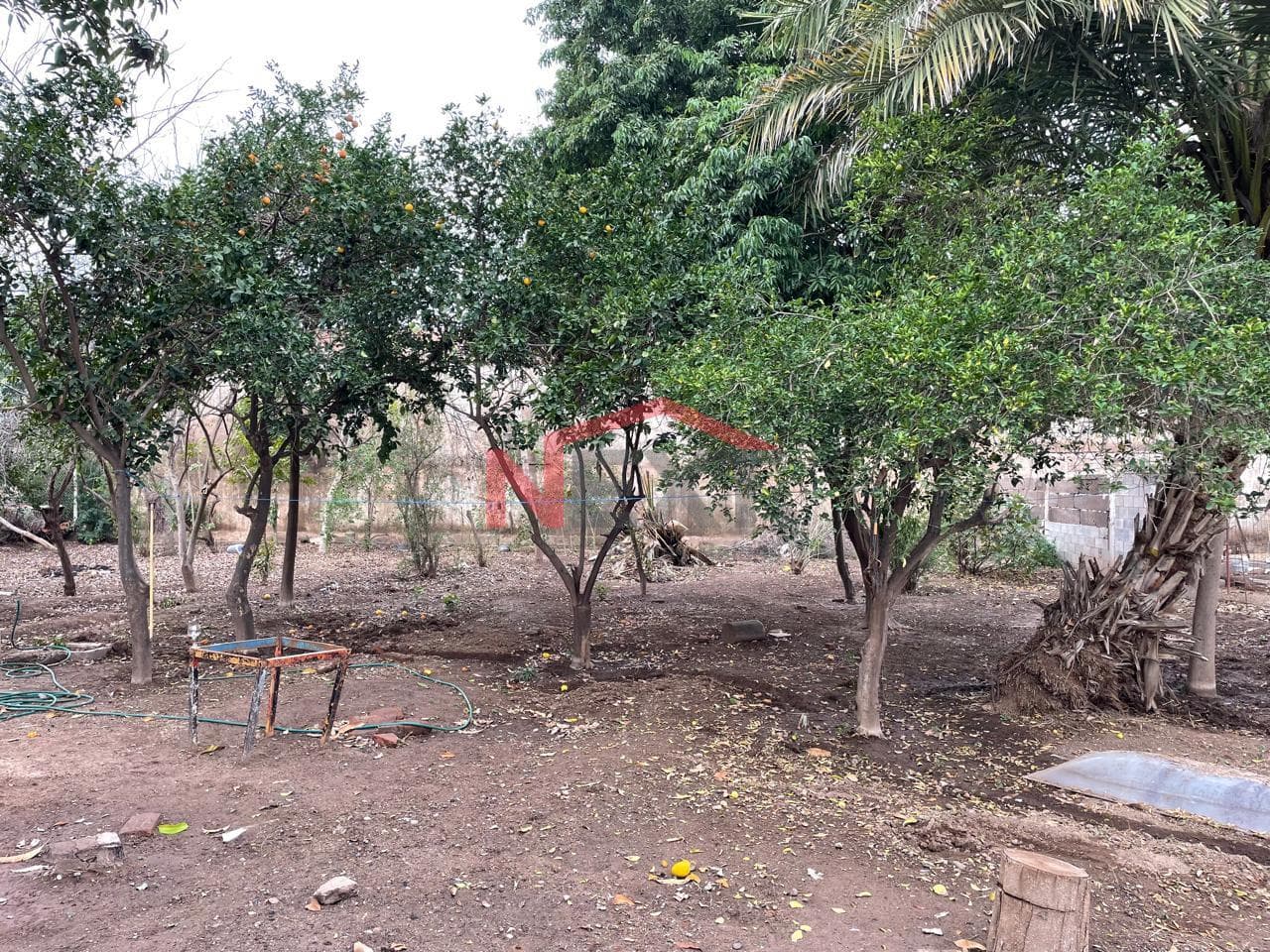 HOUSE FOR SALE IN SAN JOSE DE BACUM